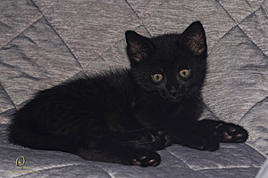 KBugs_PH23_3X8A0973-Enhanced-NR.jpg