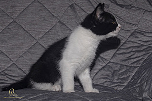 KBugs_PH23_3X8A1023-Enhanced-NR.jpg