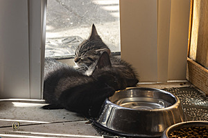 KBugs_PH23_3X8A1041-Enhanced-NR.jpg