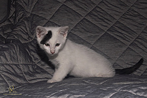 KBugs_PH23_3X8A1123-Enhanced-NR.jpg