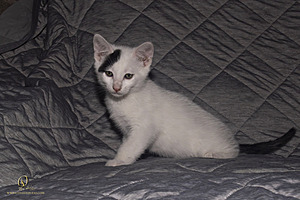 KBugs_PH23_3X8A1124-Enhanced-NR.jpg