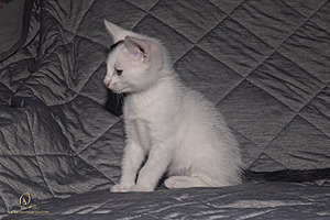 KBugs_PH23_3X8A1126-Enhanced-NR.jpg