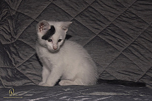 KBugs_PH23_3X8A1127-Enhanced-NR.jpg
