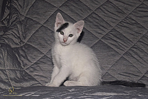 KBugs_PH23_3X8A1129-Enhanced-NR.jpg