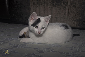 KBugs_PH23_3X8A1146-Enhanced-NR.jpg