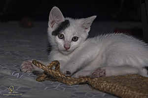 KBugs_PH23_3X8A1154-Enhanced-NR.jpg