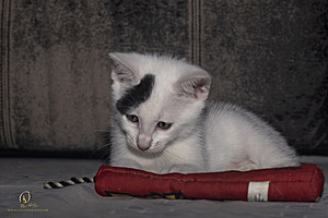 KBugs_PH23_3X8A1165-Enhanced-NR.jpg