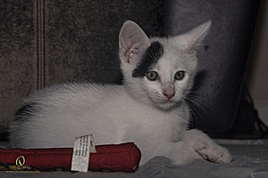 KBugs_PH23_3X8A1168-Enhanced-NR.jpg