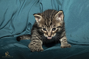 KBugs_PH23_IMG_1690.jpg