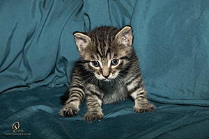 KBugs_PH23_IMG_1692.jpg