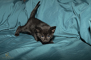 KBugs_PH23_IMG_1693.jpg