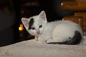 KBugs_PH23_IMG_1762-Enhanced-NR.jpg
