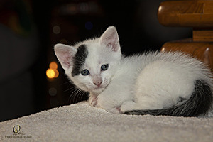 KBugs_PH23_IMG_1763-Enhanced-NR.jpg