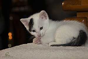 KBugs_PH23_IMG_1764-Enhanced-NR.jpg