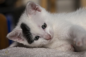 KBugs_PH23_IMG_1849-Enhanced-NR.jpg