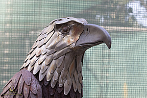 22CRC_PH22_IMG_9370_2.jpg