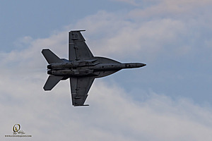 195_CCA_PH24_IMG_6328-Enhanced-NR.jpg