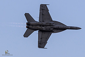 196_CCA_PH24_IMG_6331-Enhanced-NR.jpg
