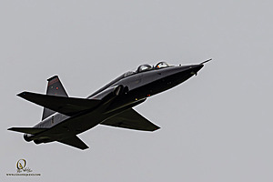 034_CCA_PH25_IMG_0306-Enhanced-NR.jpg