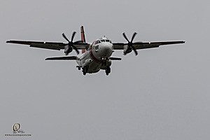 047_CCA_PH25_IMG_0591-Enhanced-NR.jpg