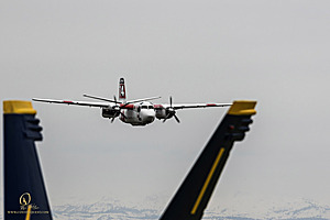 055_CCA_PH25_IMG_0657-Enhanced-NR.jpg