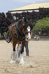 IMG_0297.jpg