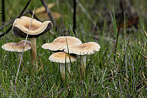 BC24_WRP_PH24_IMG_3398-Enhanced-NR.jpg