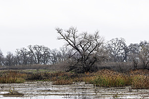 BC24_WRP_PH24_IMG_3460-Enhanced-NR.jpg
