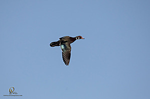 CC_PH23_IMG_5814.jpg