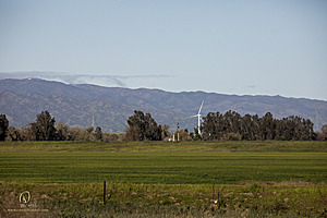 CC_PH23_IMG_5819.jpg