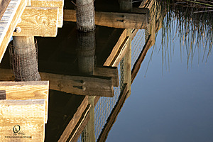 CC_PH23_IMG_6130.jpg