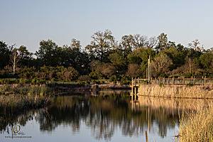 CC_PH23_IMG_6138.jpg