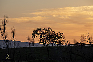 CC_PH23_IMG_6276.jpg