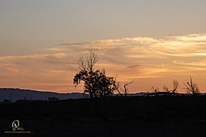 CC_PH23_IMG_6304.jpg