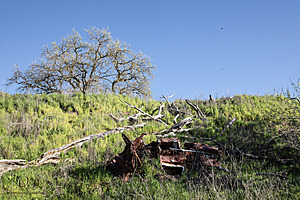 CCC_PH24_IMG_3489-Enhanced-NR.jpg