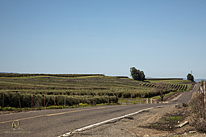 CCC_PH24_IMG_3496-Enhanced-NR.jpg