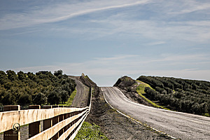 CCC_PH24_IMG_3497-Enhanced-NR.jpg