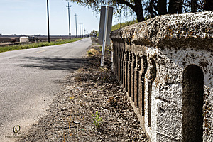 CCC_PH24_IMG_3498-Enhanced-NR.jpg