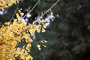 DA_PH23_IMG_2853-Enhanced-NR.jpg