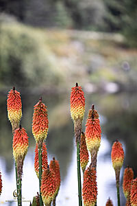 DA_PH23_IMG_2866-Enhanced-NR.jpg