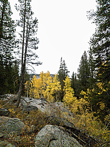 Caples_PH22_20221022_100131.jpg