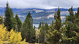 Caples_PH22_20221022_114514.jpg