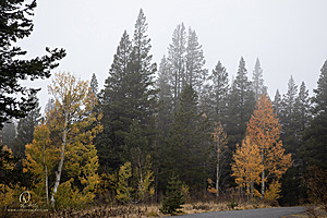 Caples_PH22_IMG_5792.jpg