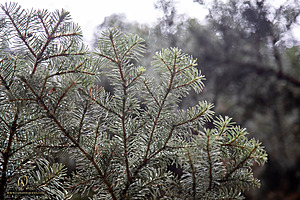 Caples_PH22_IMG_5824.jpg