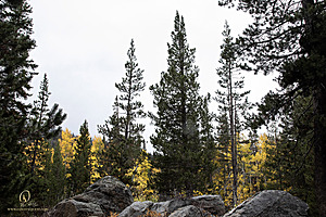 Caples_PH22_IMG_5846.jpg