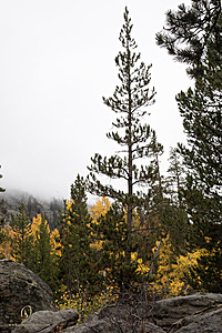Caples_PH22_IMG_5854.jpg