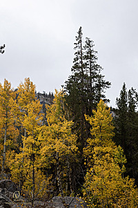 Caples_PH22_IMG_5885.jpg