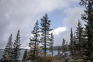 Caples_PH22_IMG_6061.jpg