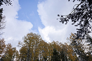 Caples_PH22_IMG_6129.jpg