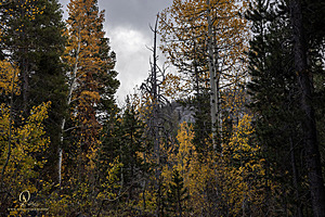 Caples_PH22_IMG_6149.jpg